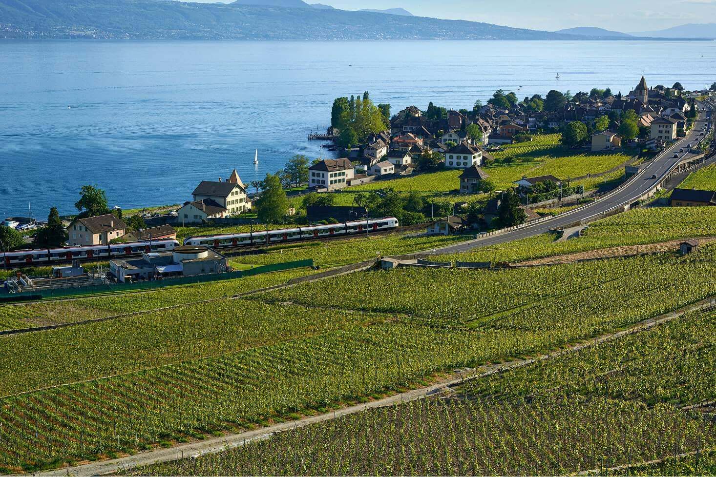 Grandvaux, the UNESCO World Heritage village in Lavaux heated by a 5ᵗʰ generation geothermal network designed with TESSA Grandvaux, the UNESCO World Heritage village in Lavaux heated by a 5ᵗʰ generation geothermal network designed with TESSA